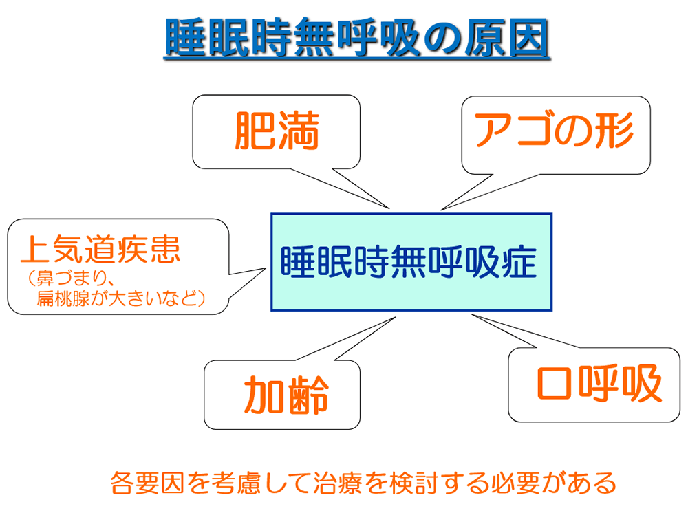 睡眠時無呼吸症の原因